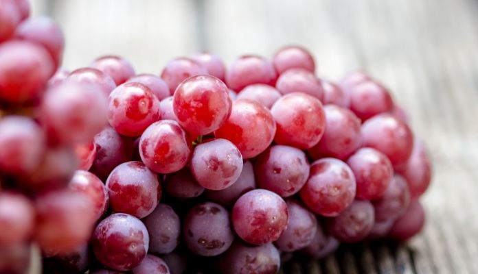 A bunch of red grapes