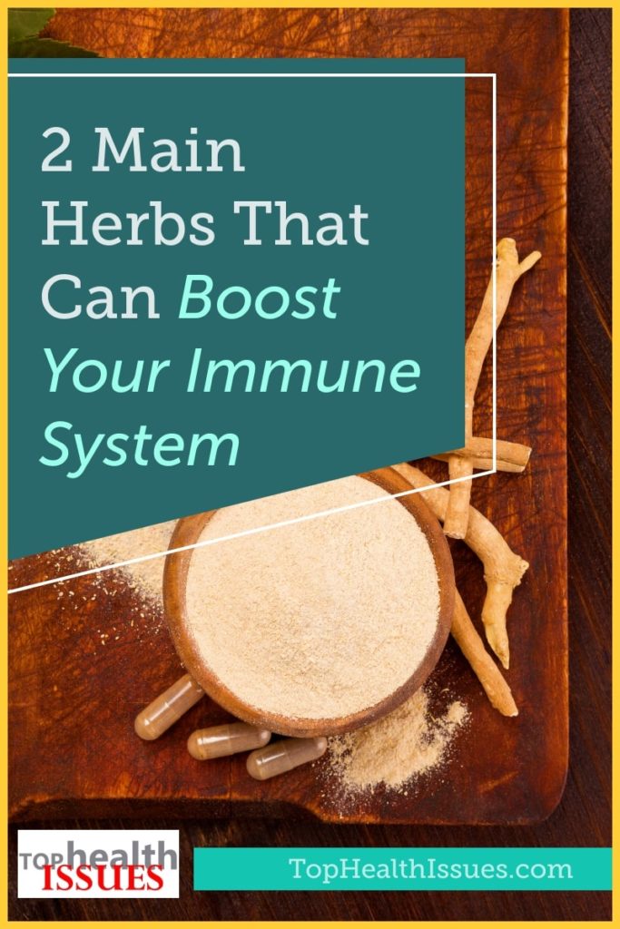 2 Main Herbs That Can Boost Your Immune System