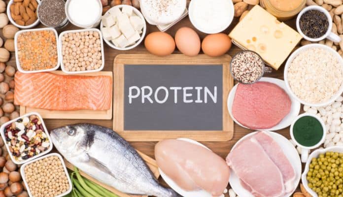 Protein rich food